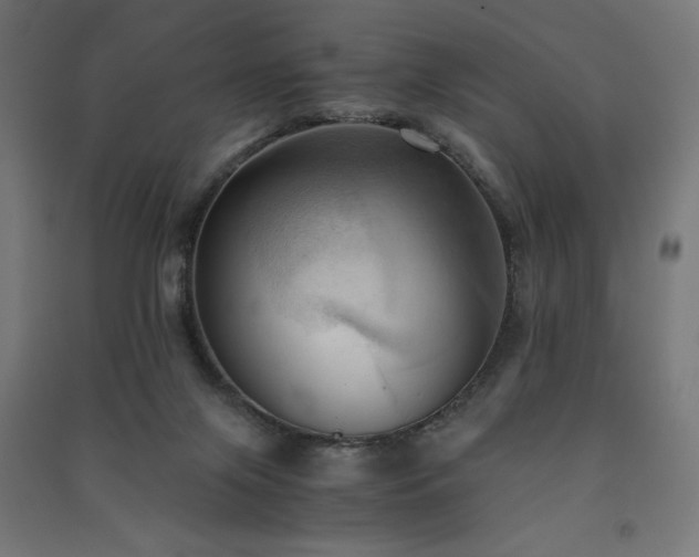 X0000091570071200708201154