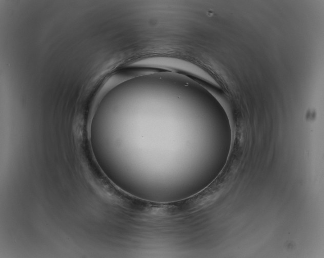 X0000091570072200708201154