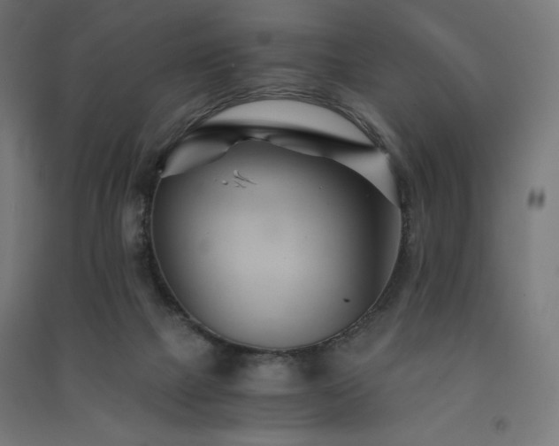 X0000091570073200708201154