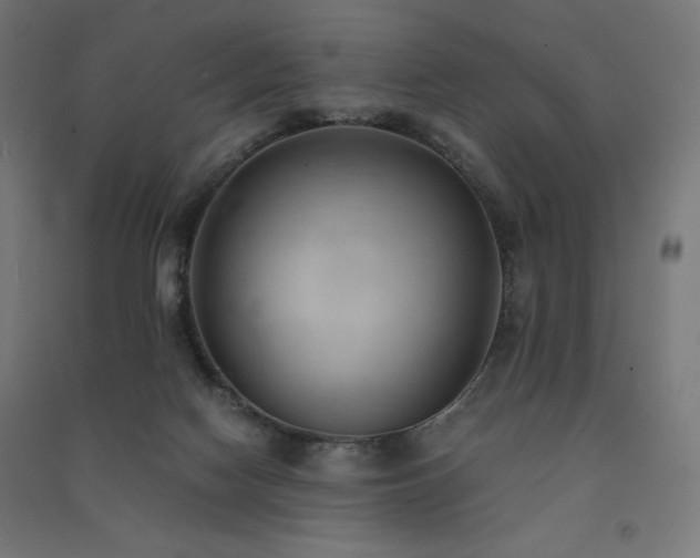 X0000091570074200708201154