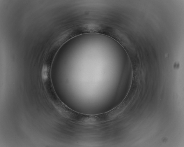 X0000091570075200708201154