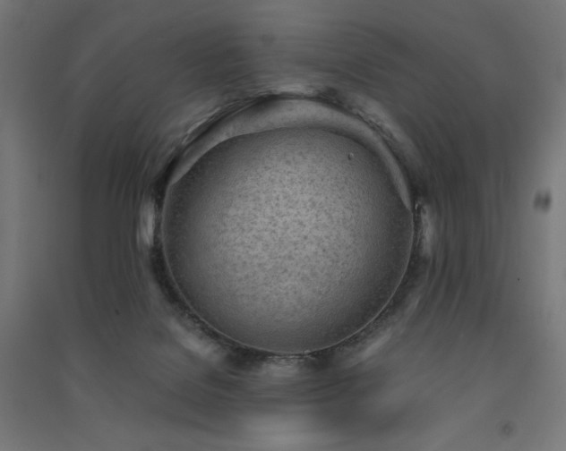 X0000091570076200708201154