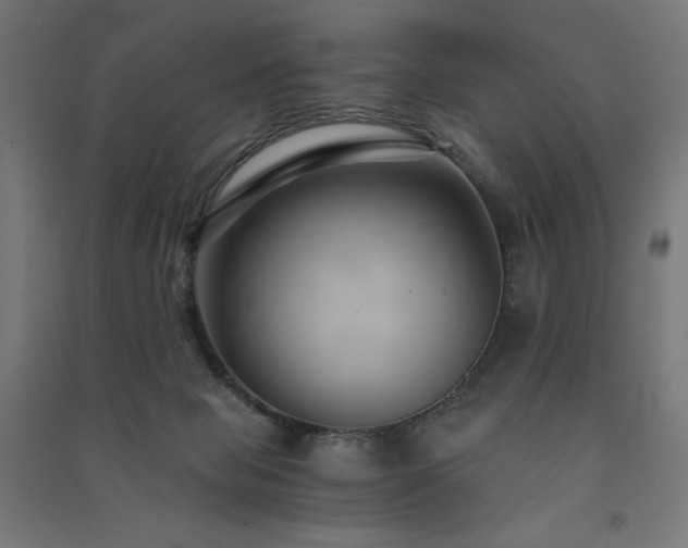 X0000091570077200708201154