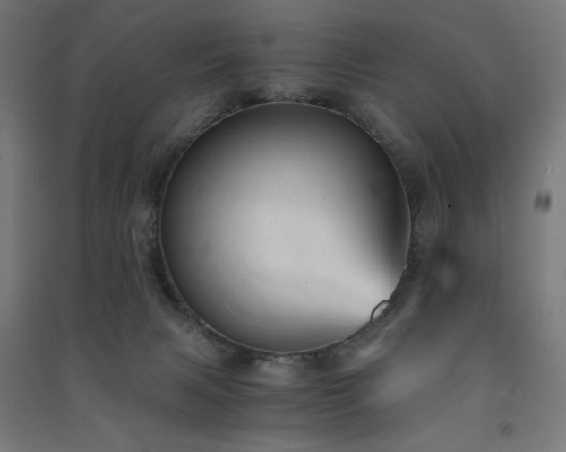 X0000091570079200708201154