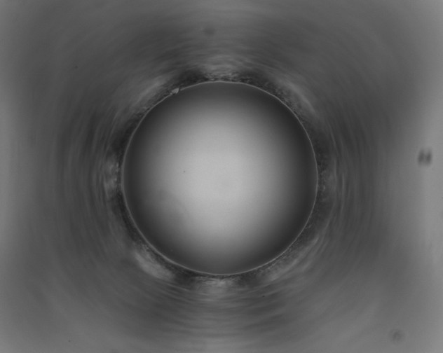 X0000091570081200708201154