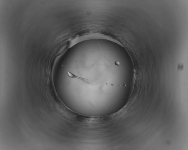 X0000091570082200708201155