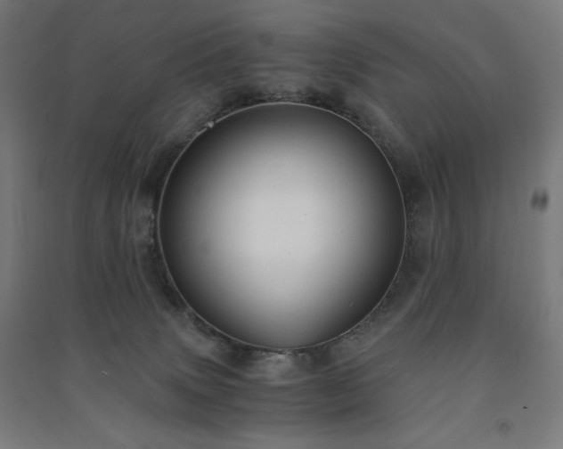 X0000091570083200708201155