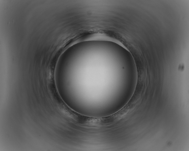 X0000091570084200708201155