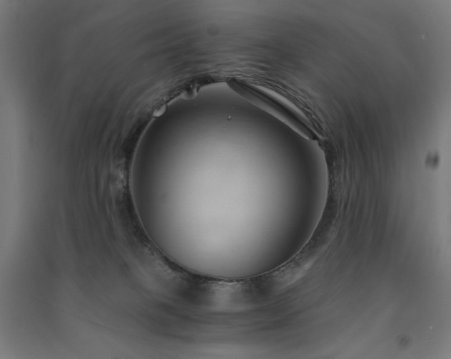 X0000091570085200708201155