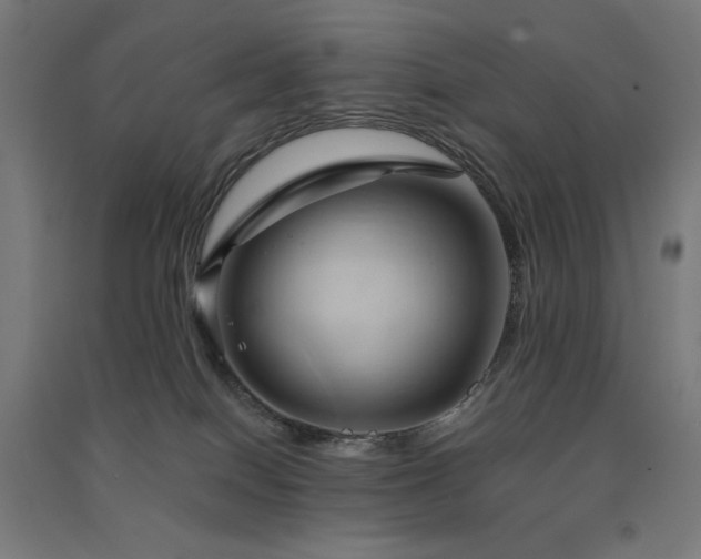 X0000091570086200708201155