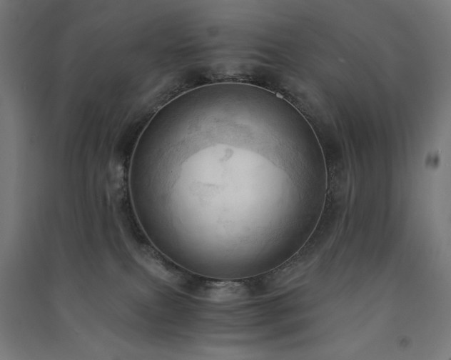 X0000091570087200708201155