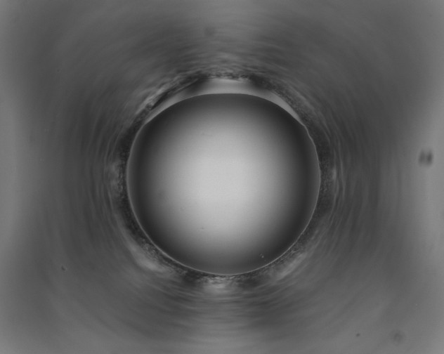 X0000091570088200708201155
