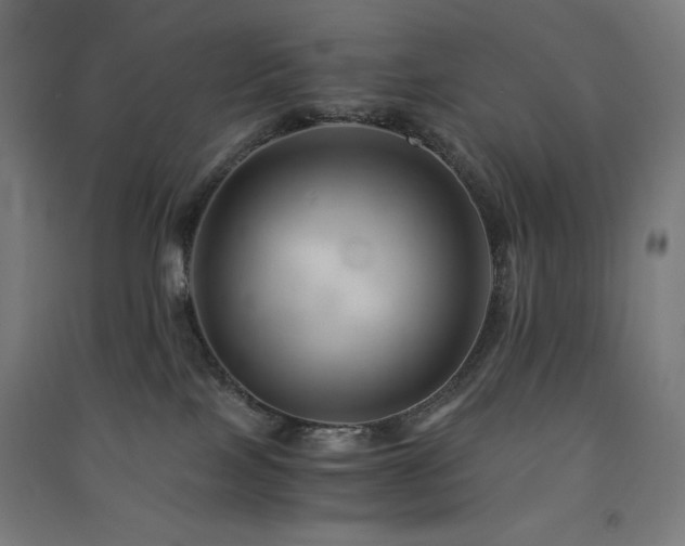 X0000091570089200708201155