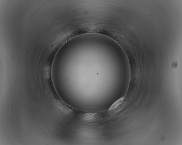 X0000091570090200708201155