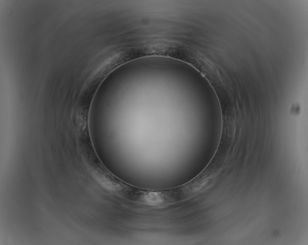 X0000091570091200708201155