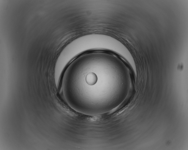 X0000091570092200708201155