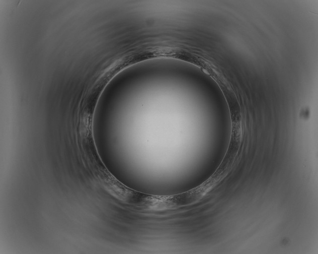 X0000091570093200708201155