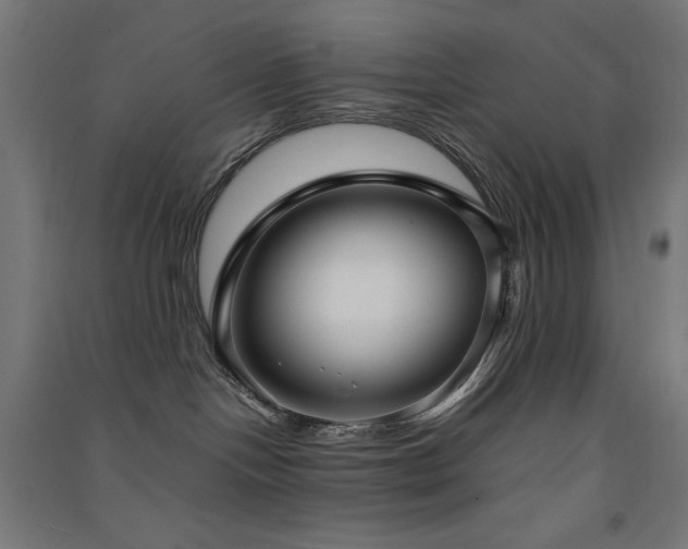 X0000091570094200708201155