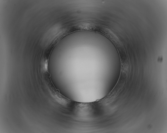 X0000091570095200708201155