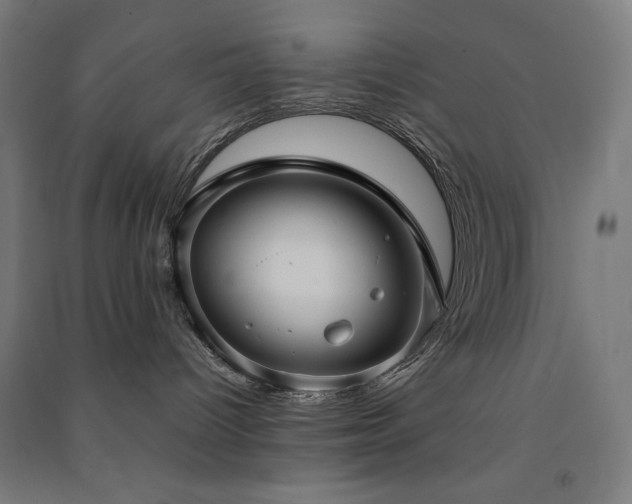 X0000091570096200708201155