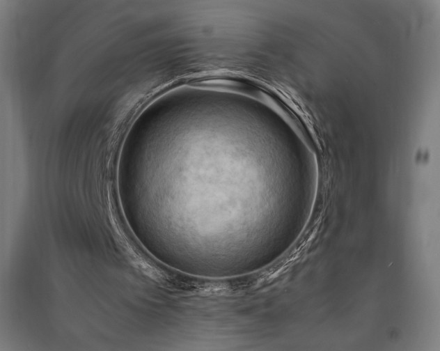 X0000091570097200708201154