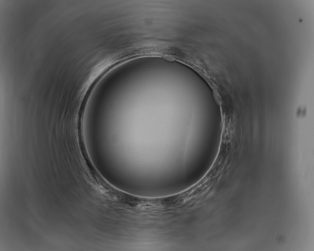 X0000091570099200708201154