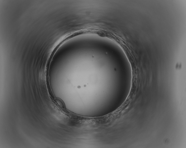 X0000091570100200708201154
