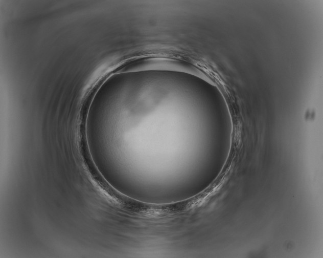 X0000091570101200708201154
