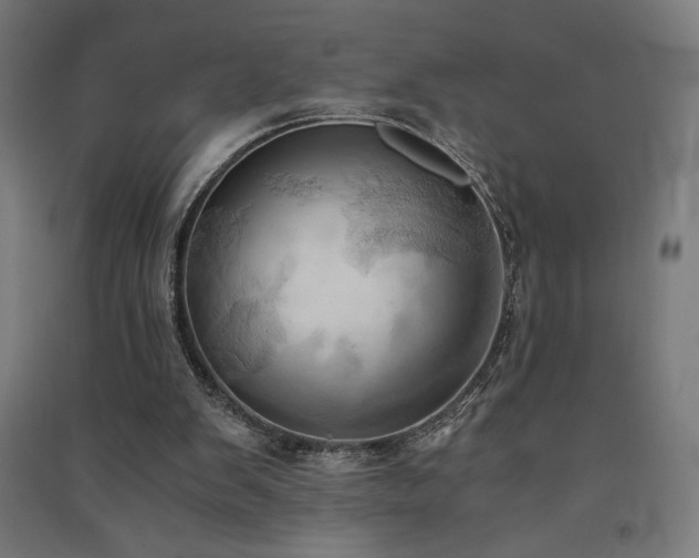 X0000091570103200708201154