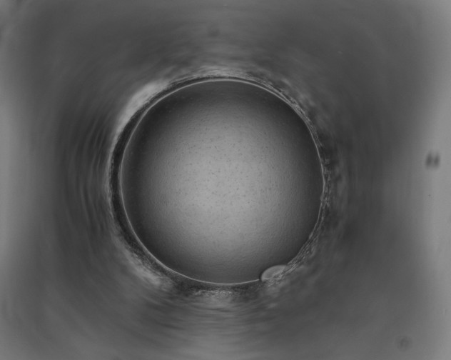 X0000091570104200708201154