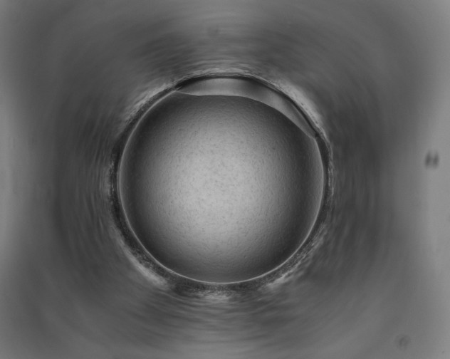 X0000091570105200708201154