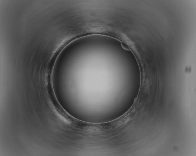 X0000091570106200708201154