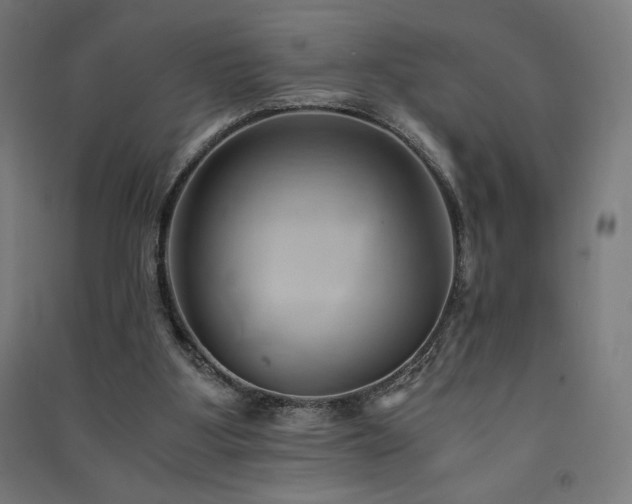 X0000091570107200708201154