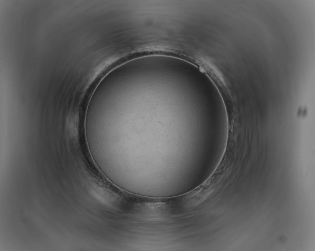 X0000091570108200708201154