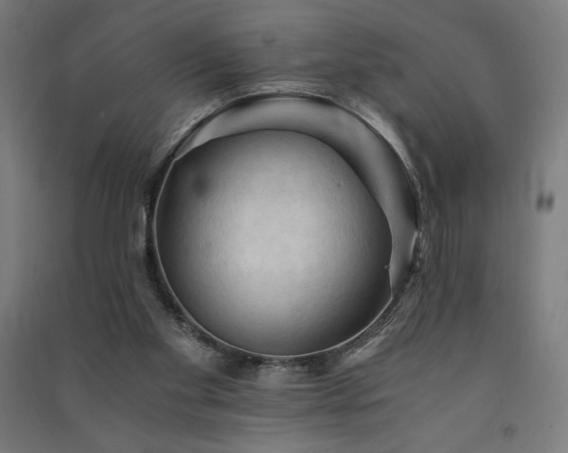 X0000091570109200708201154