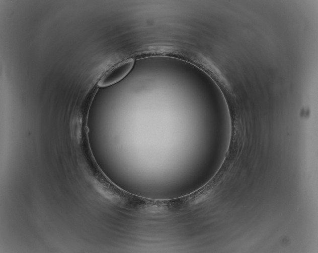 X0000091570110200708201154