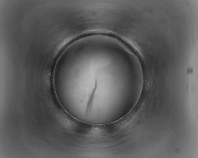 X0000091570111200708201154