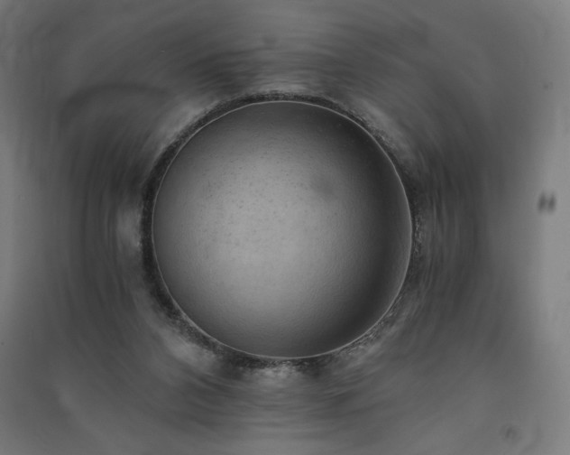 X0000091570112200708201154