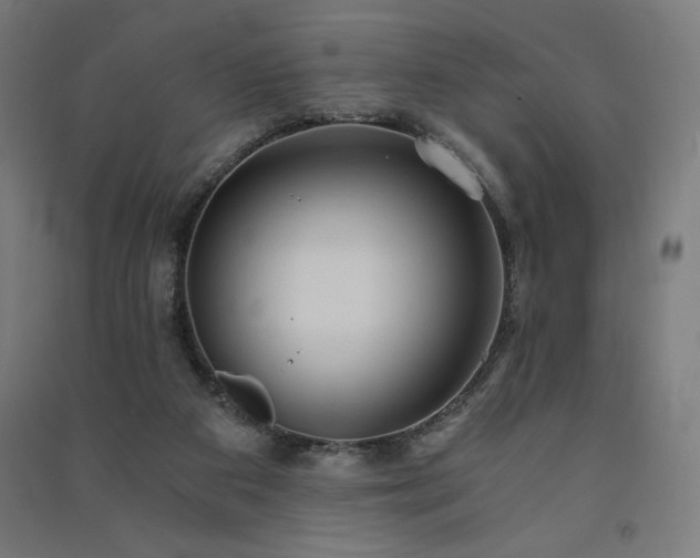 X0000091570113200708201154