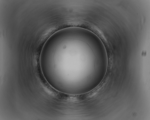 X0000091570114200708201154