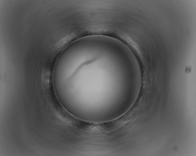 X0000091570115200708201154