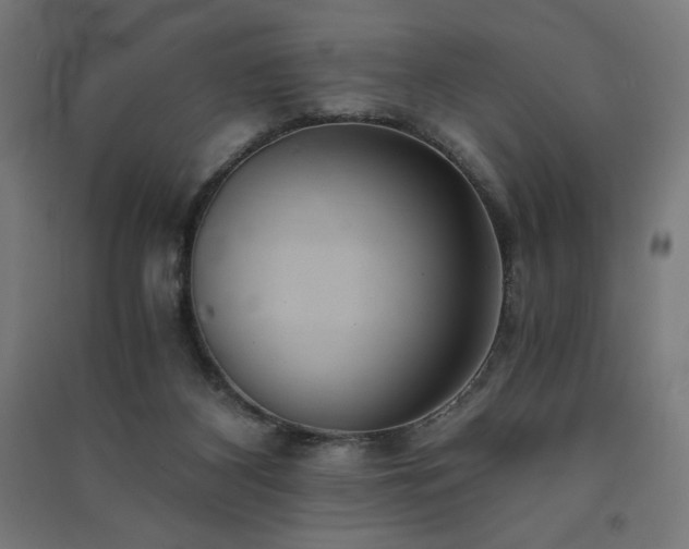 X0000091570116200708201154