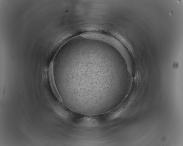X0000091570117200708201154