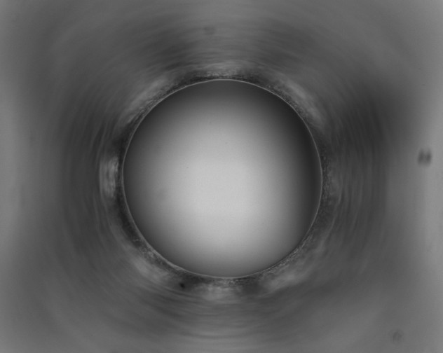 X0000091570118200708201154