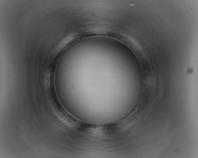 X0000091570120200708201154