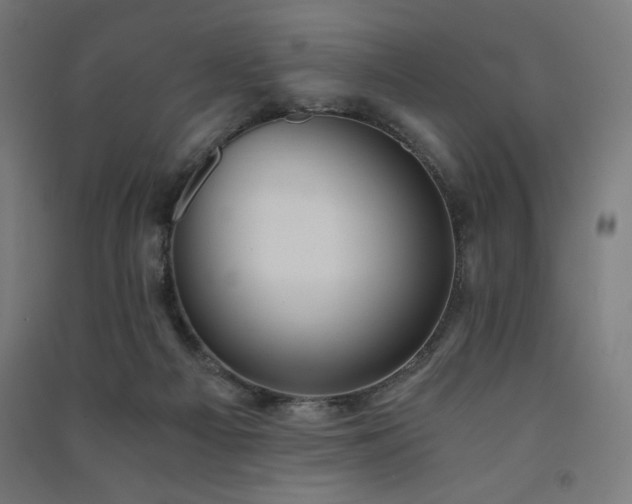 X0000091570121200708201154