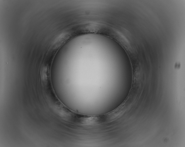 X0000091570122200708201154
