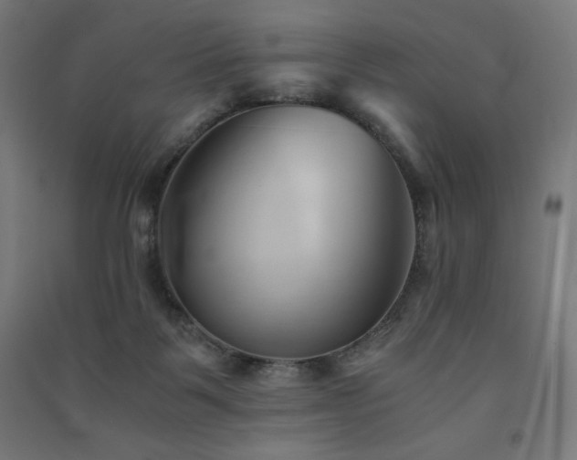 X0000091570123200708201154