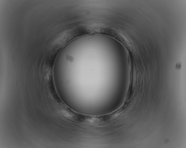 X0000091570125200708201154