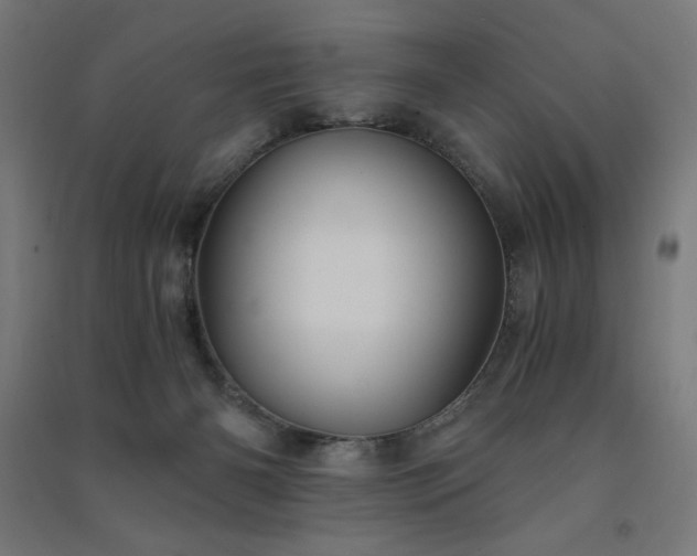 X0000091570126200708201154